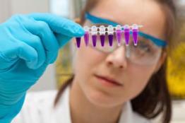 Scientist looking a chemicals