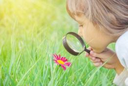 Young girl using a magnifying glass to look at a flower in a grass meadow