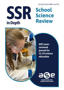 SSR in Depth 391 Cover SSR in Depth 391 Cover