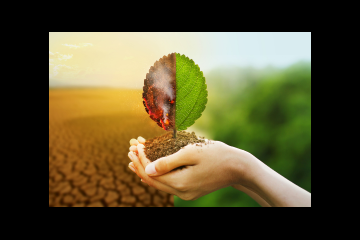A hand holding a leaf